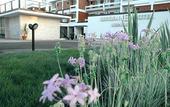 Туры в отель HOTEL GARDEN