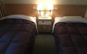 Туры в отель Hida Takayama Washington Hotel Plaza
