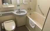 Туры в отель Hida Takayama Washington Hotel Plaza