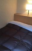 Туры в отель Hida Takayama Washington Hotel Plaza