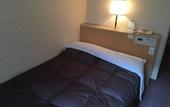 Туры в отель Hida Takayama Washington Hotel Plaza