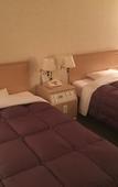 Туры в отель Hida Takayama Washington Hotel Plaza