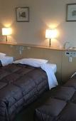 Туры в отель Hida Takayama Washington Hotel Plaza