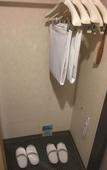 Туры в отель Hida Takayama Washington Hotel Plaza