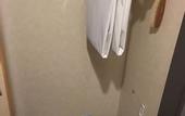 Туры в отель Hida Takayama Washington Hotel Plaza