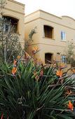 Туры в отель The Spier Hotel