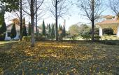 Туры в отель Jinling Resort