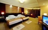 Туры в отель Tianheng International Hotel