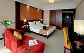 Туры в отель Tianheng International Hotel