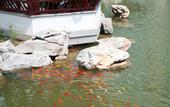 Туры в отель Grand Rezen Hotel Wuxi