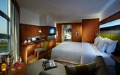 Туры в отель Novotel Zhengzhou  Convention  Center