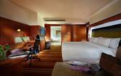 Туры в отель Novotel Zhengzhou  Convention  Center