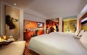 Туры в отель Novotel Zhengzhou  Convention  Center