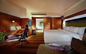 Туры в отель Novotel Zhengzhou  Convention  Center
