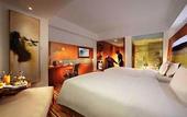 Туры в отель Novotel Zhengzhou  Convention  Center