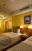 Туры в отель Hotel Boston Plaza Kusatsu
