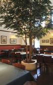 Туры в отель Hotel Boston Plaza Kusatsu