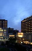 Туры в отель Hotel Boston Plaza Kusatsu