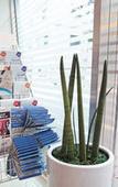 Туры в отель Starria Hostel Foreign Guest Only