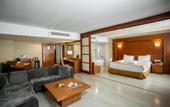 Туры в отель Holiday Inn Istanbul City