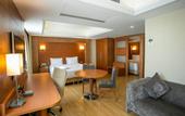 Туры в отель Holiday Inn Istanbul City