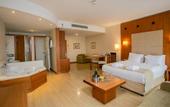 Туры в отель Holiday Inn Istanbul City