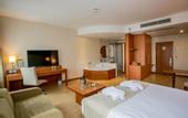 Туры в отель Holiday Inn Istanbul City