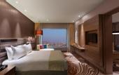 Туры в отель Holiday Inn Jaipur City Centre