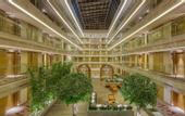 Туры в отель Holiday Inn Jaipur City Centre