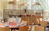 Туры в отель Mercure Arles Centre Arenes