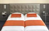 Туры в отель Mercure Arles Centre Arenes