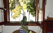 Туры в отель Mekong Riverview Hotel