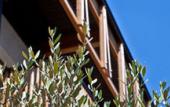 Туры в отель Art & Design Hotel Napura