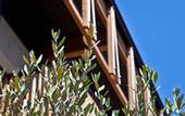 Туры в отель Art & Design Hotel Napura