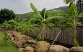 Туры в отель PingChan Koh Phangan Beachfront Resort
