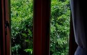 Туры в отель PingChan Koh Phangan Beachfront Resort