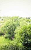 Туры в отель Riverside Lodge