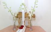 Туры в отель Happyland Hotel