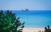 Туры в отель Sea Far Resort