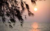 Туры в отель Sea Far Resort