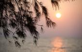 Туры в отель Sea Far Resort