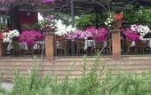 Туры в отель Hotel Zeus Pompei