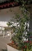 Туры в отель Xitang Inn