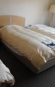 Туры в отель Breezbay Lake Resort Kawaguchiko