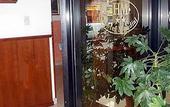 Туры в отель Hotel Mondial
