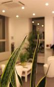 Туры в отель Michelangelo Hotel