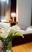 Туры в отель Michelangelo Hotel