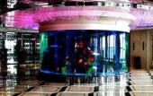 Туры в отель Youhao Jinjiang Hotel