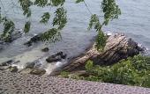 Туры в отель Sunrise Villas Seaview