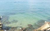Туры в отель Sunrise Villas Seaview